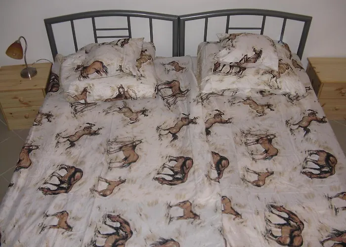 בית הארחה Karpati 3*