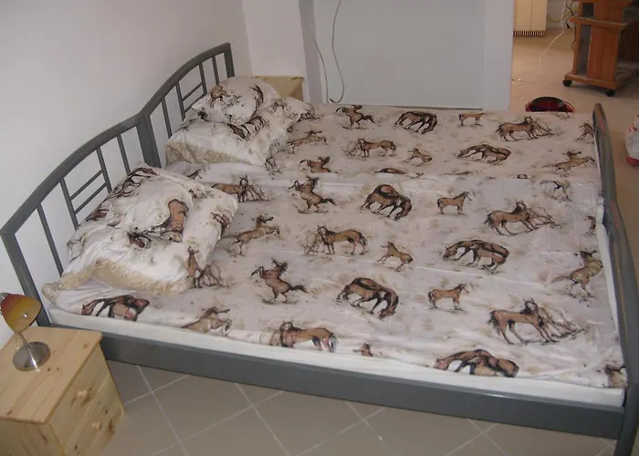 Karpati Gasthof Budapest