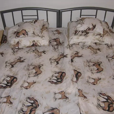 招待所 卡尔帕蒂汽车旅馆 3*