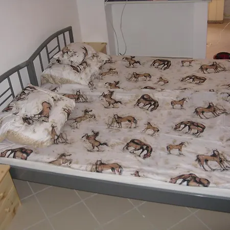 卡尔帕蒂汽车旅馆 招待所 布达佩斯