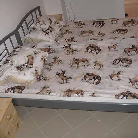 卡尔帕蒂汽车旅馆 招待所 3*